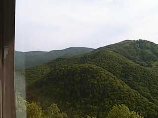 Position 1