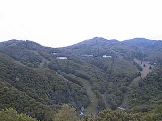Position 2